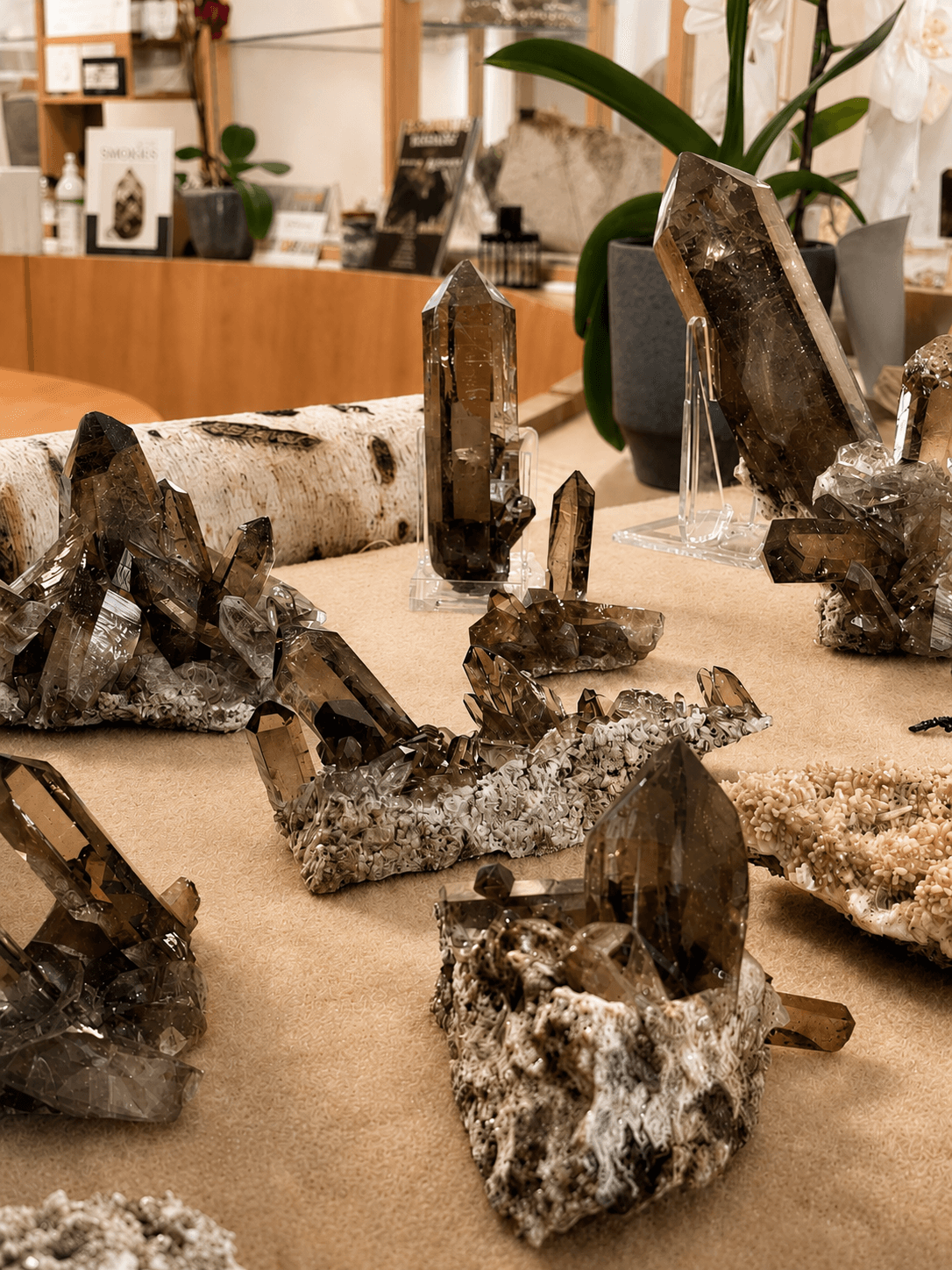 Rauchquarz-Sammlung im Hotel Tiefenbach