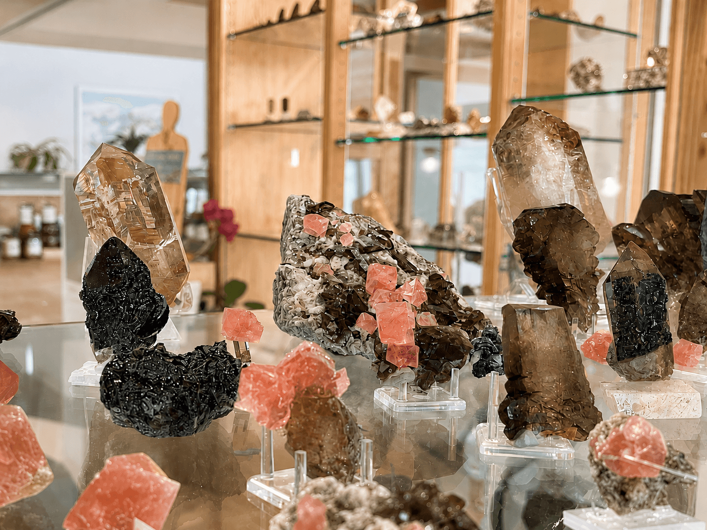 Rauchquarze und Rosafluorit in Glasvitrine